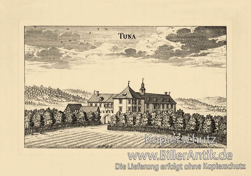 Biller Antik Thunau a Arnfels Tuna Oberhaag Vischer Austria Castles - Vintage Austrian Castle Collectible for Home Decor & History Enthusiasts | Perfect for Display in Living Rooms, Offices, or as Gift for Castle Lovers