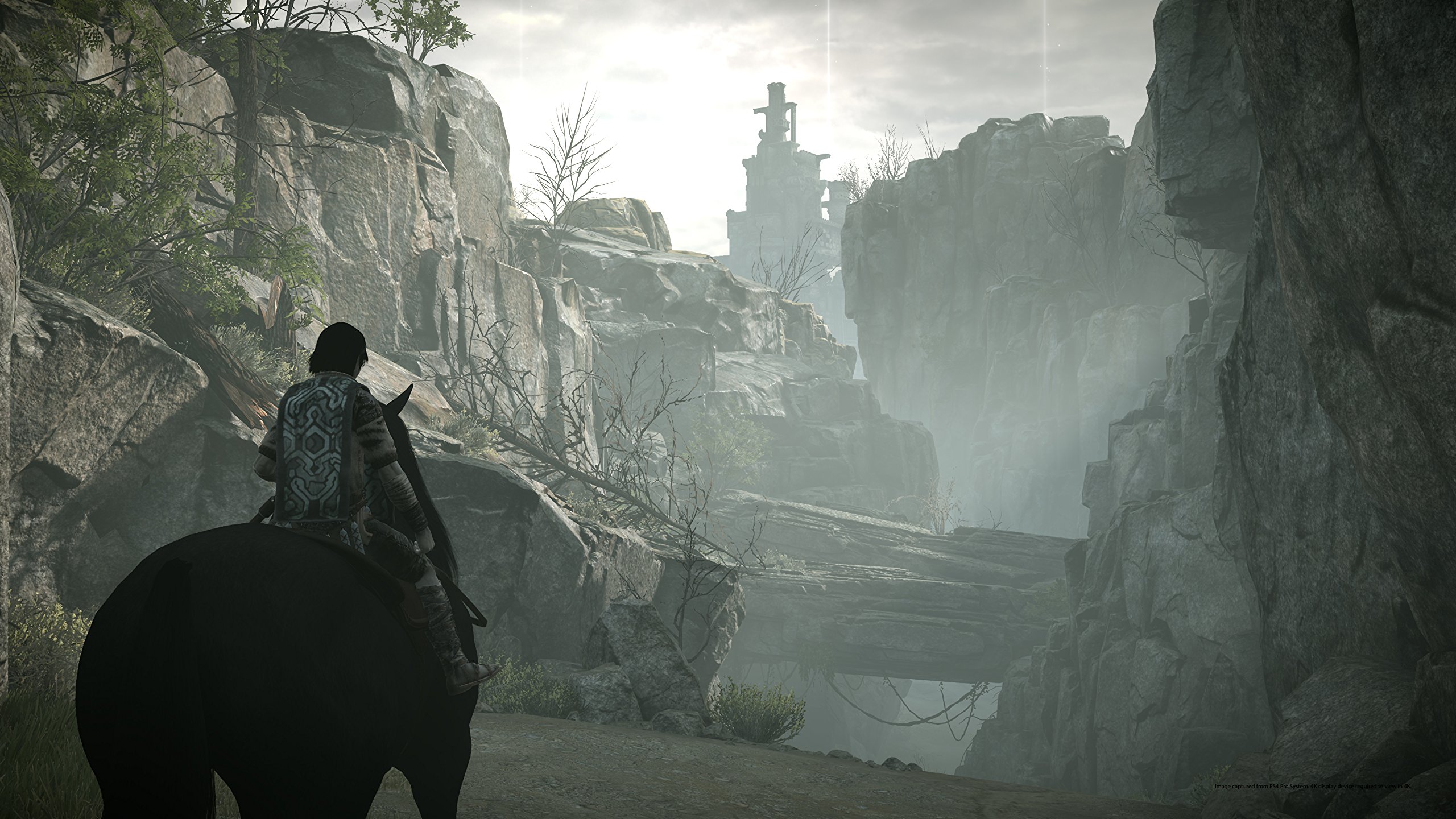 Shadow of the Colossus PS4 Game - Epic Adventure Action RPG for PlayStation 4 - Perfect for Fantasy Gaming Enthusiasts & Collectors