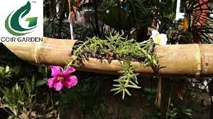 Hanging Bamboo Planters with Adjustable Rope - Natural Bamboo Stand & Pot for Indoor Plants - Perfect for Home Decor, Balcony, and Garden - Pack of 1