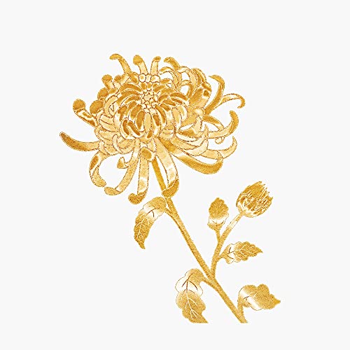Nov.-Chrysanthemum