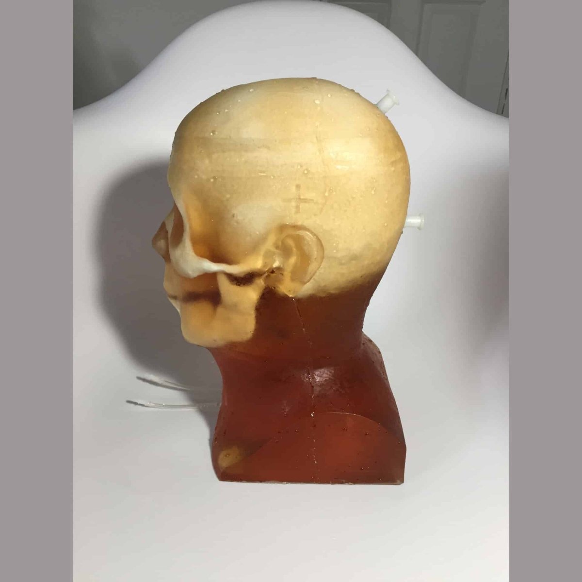 Hematoma Adult Head Phantom for X-Ray, CT, Ultrasound & MRI Training - Medical Imaging Practice for Radiology Students and Professionals