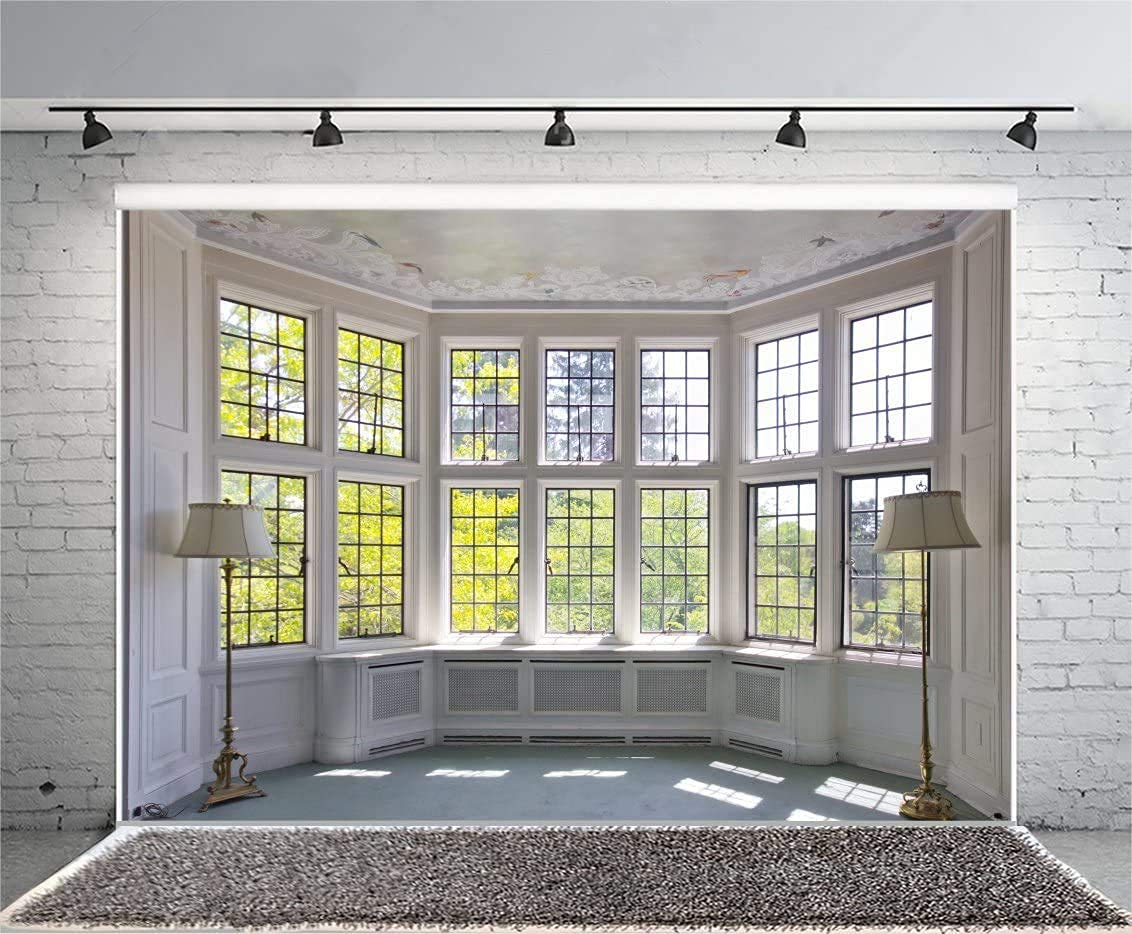 CSFOTO 10x7ft Big Bright Window Backdrop - Natural Garden View Background for Zoom Meetings, Video Conferences & Home Office - Perfect for Virtual Calls, YouTube Videos & Online Teaching