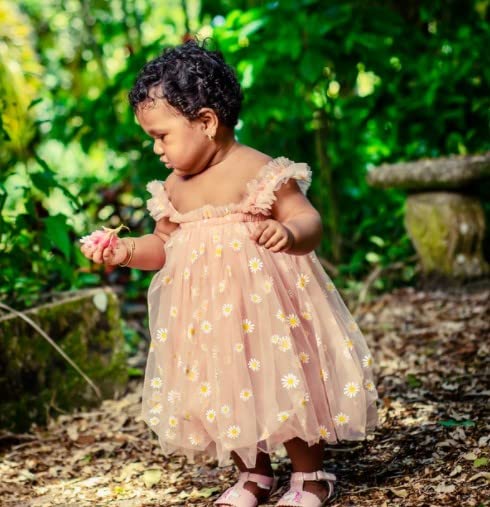 Baby Girl Summer Dress - Sleeveless Floral Fruit Embroidery Mesh Tutu Puff Dress for Infants & Toddlers | Perfect for Outdoor Play, Beach Trips & Birthday Parties