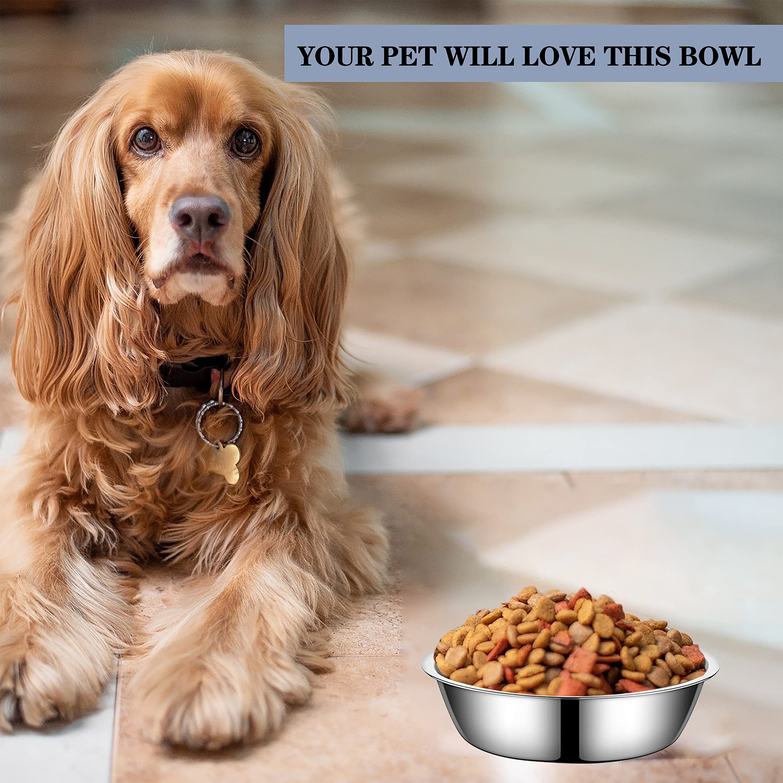 Premium Stainless Steel Pet Bowls for Cats & Small Dogs - 2-Pack Durable Metal Food & Water Dishes (6.3 Inch) - Perfect for Feeding Stations, Travel & Home Use
