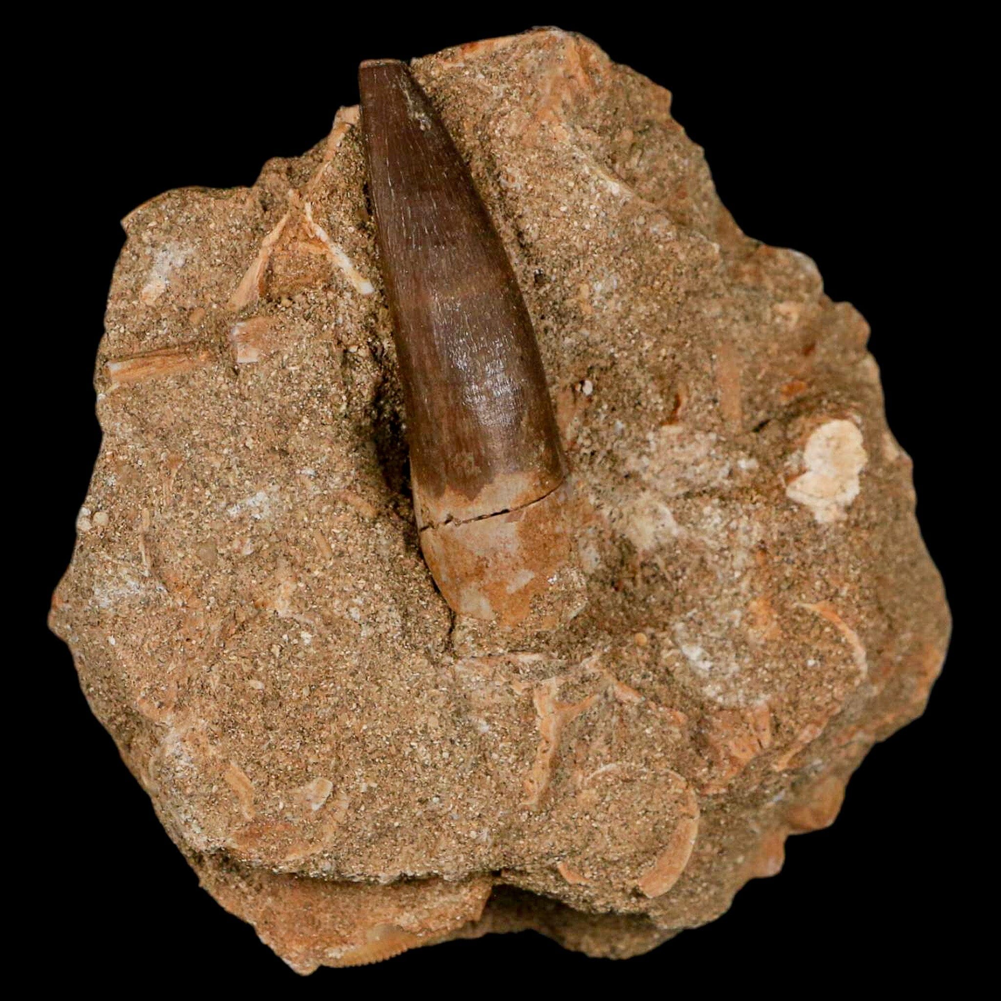 1.9