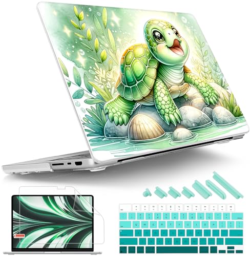 Tortoise