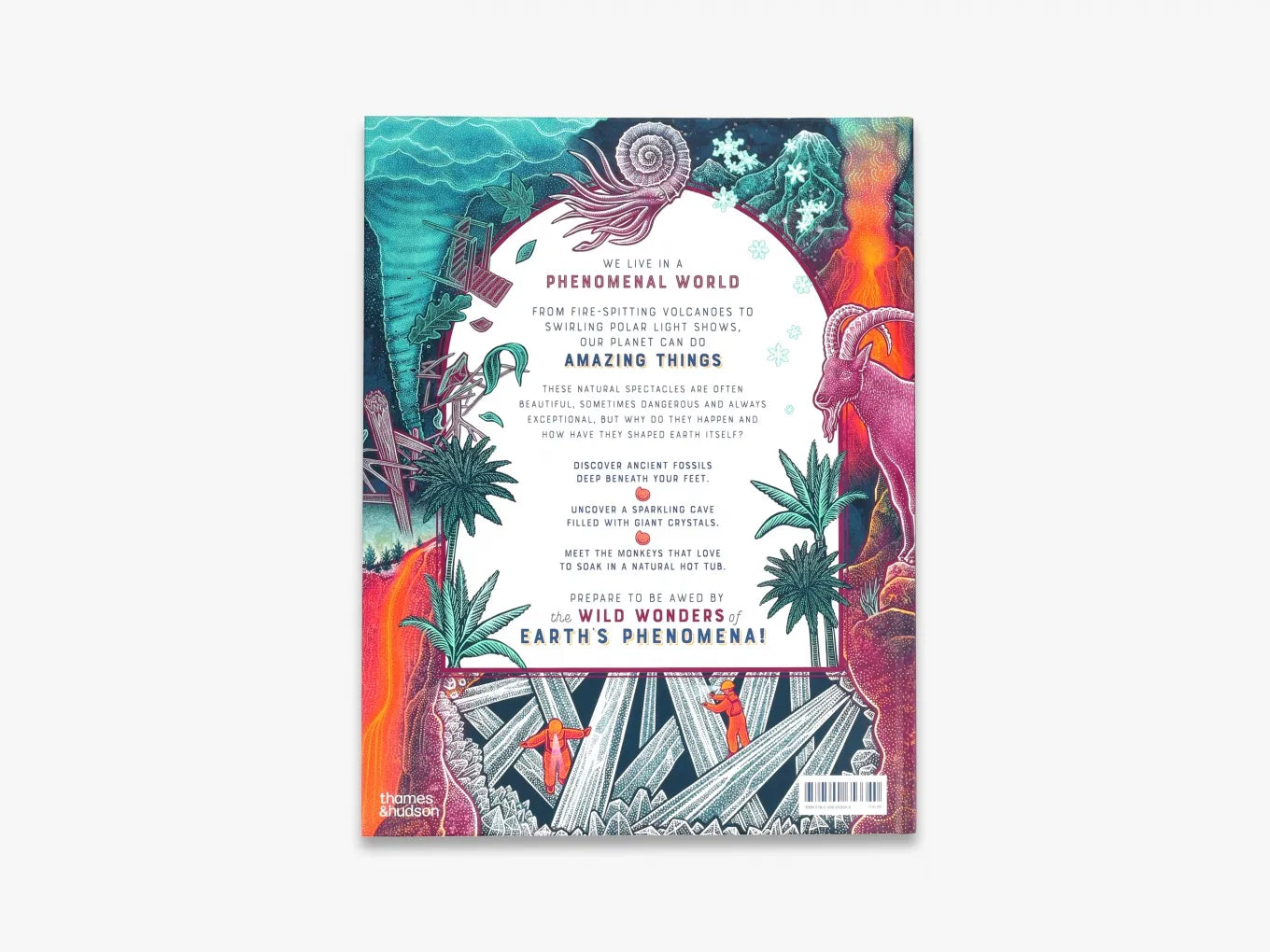 Wild Wonders Bang - Premium Quality Novelty Party Supplies for Events & Celebrations - Perfect for Birthdays, Weddings & Special Occasions