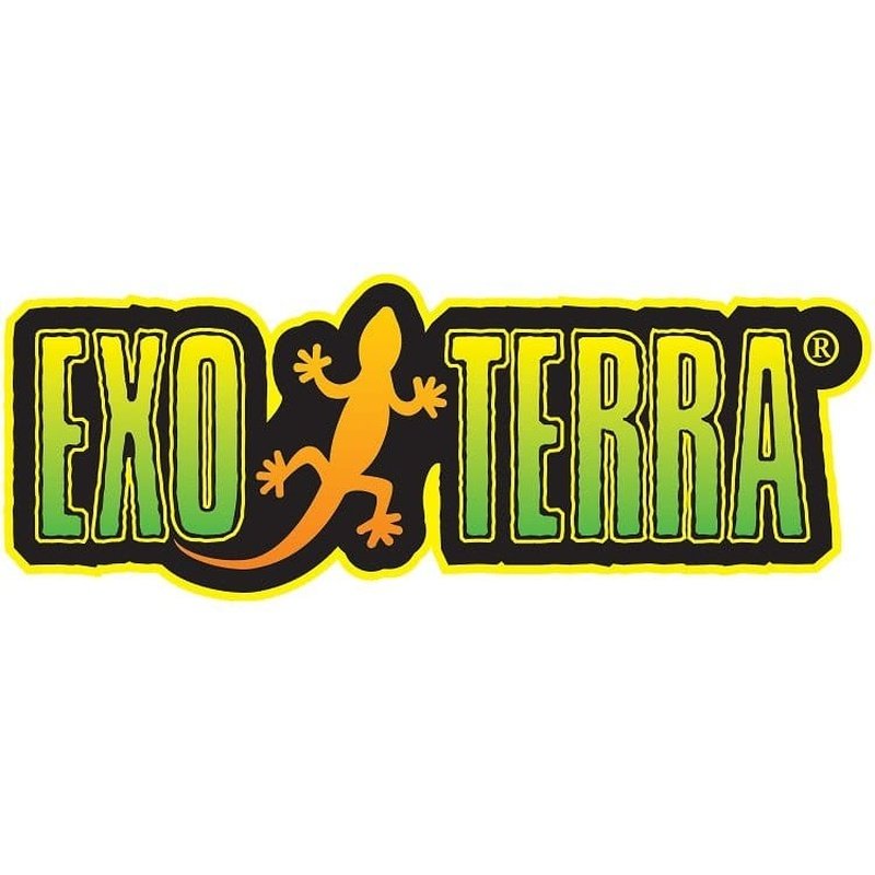 Exo Terra Terrarium Door Replacement for EGT06 & PT2612 Medium/Tall Glass Enclosures - Perfect for Reptile, Amphibian & Gecko Habitats