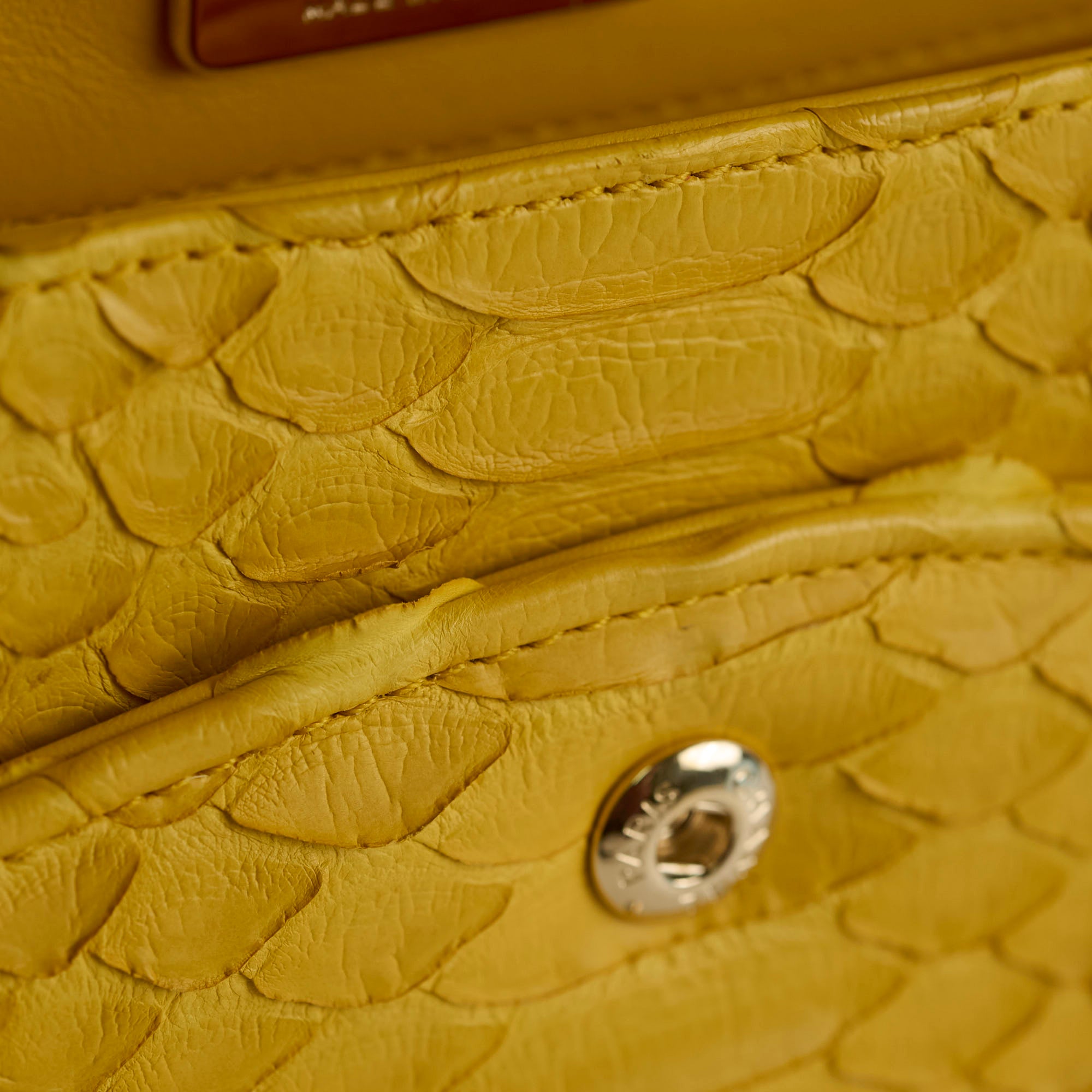 Chanel Python Leather Medium M/L Classic Flap Bag Yellow Series 22 - Luxury Designer Handbag for Women, Perfect for Parties, Weddings & Special Occasions
