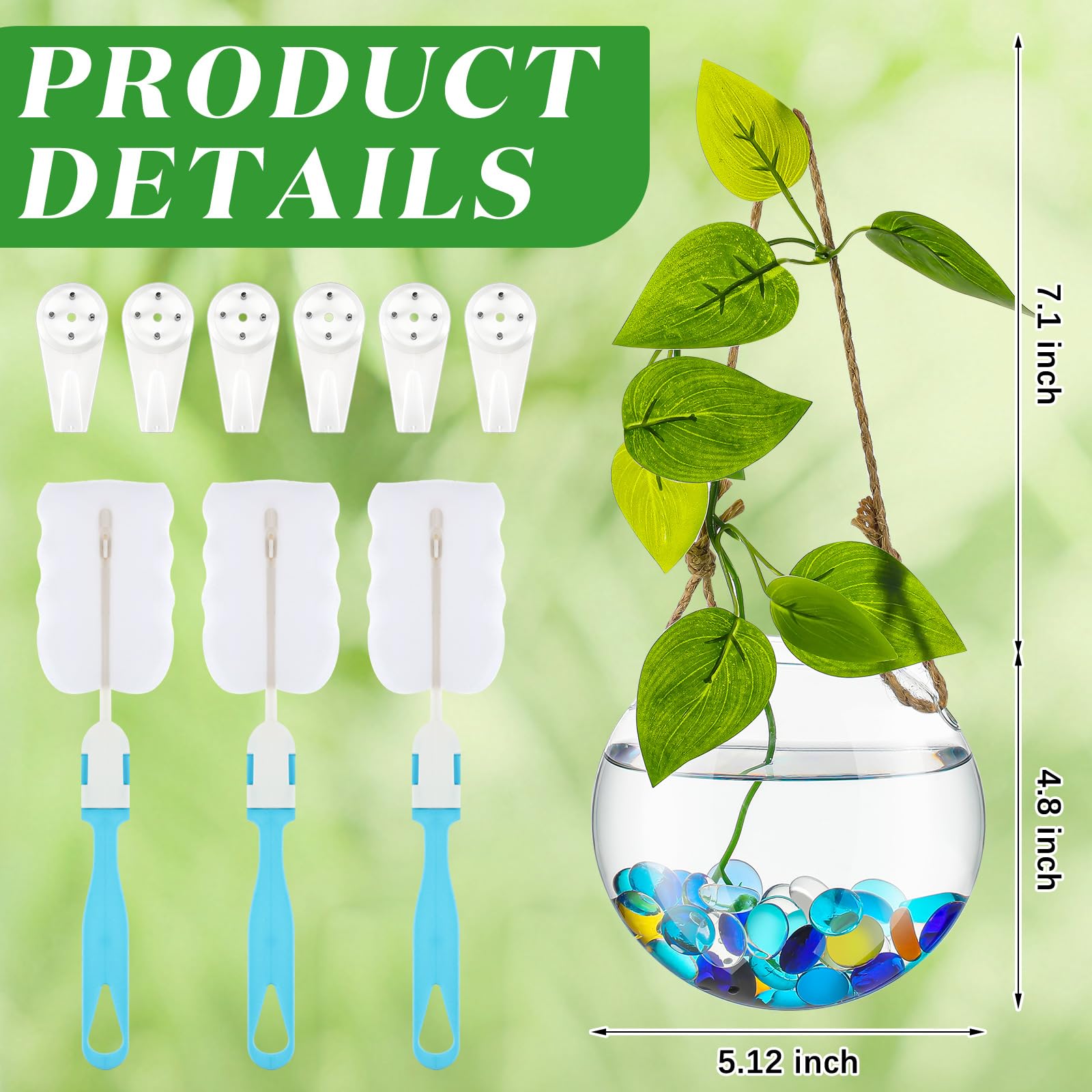 6 Pack Glass Wall Hanging Planters - Round Terrarium Vases for Air Plants, Hydroponic Propagation & Flowers | Indoor Home Decor, Office & Window Display (Waterproof Containers)