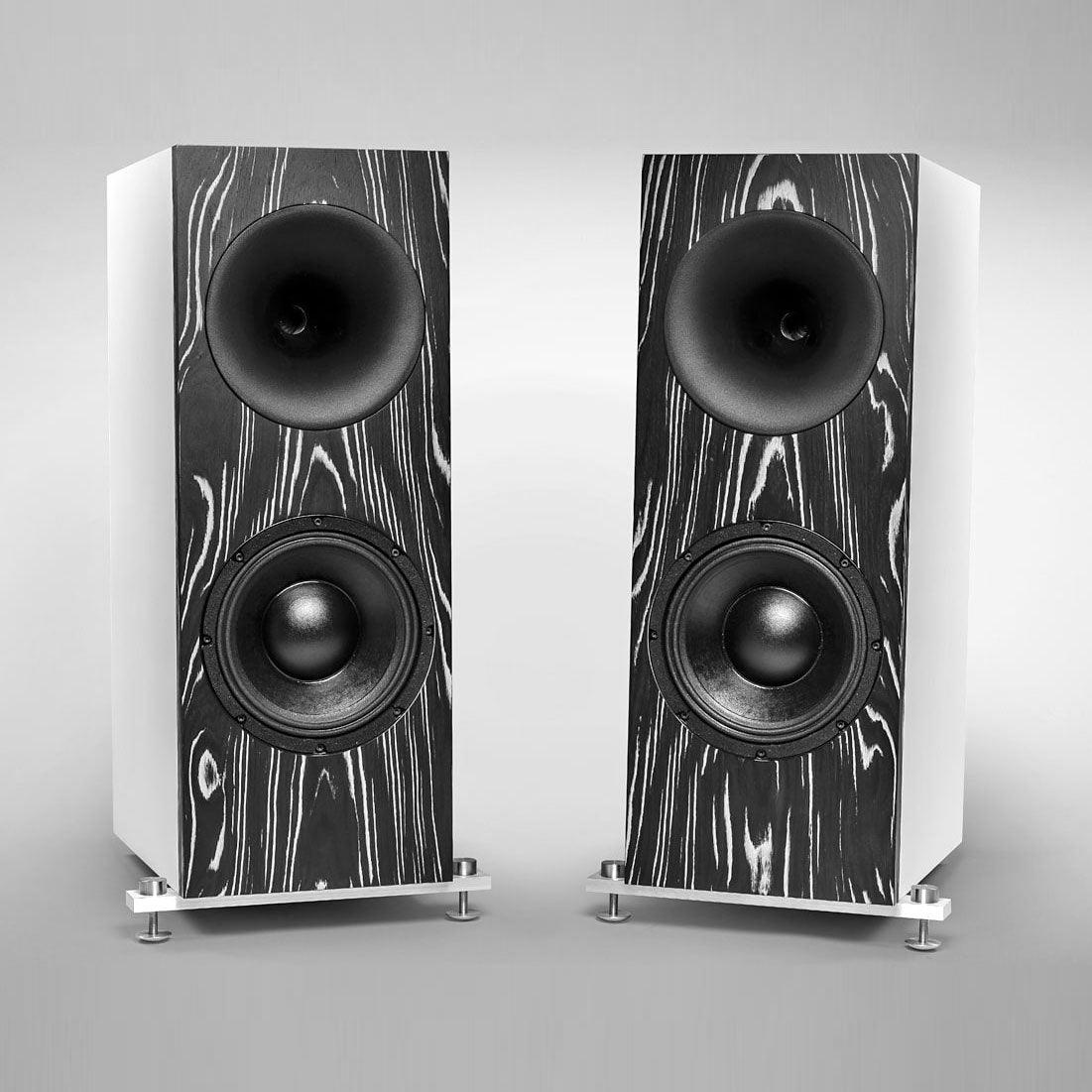 Tobian Sound Systems 10FH Full Range Horn Speakers - High Fidelity Audio for Home Theater, Outdoor Events & Live Performances