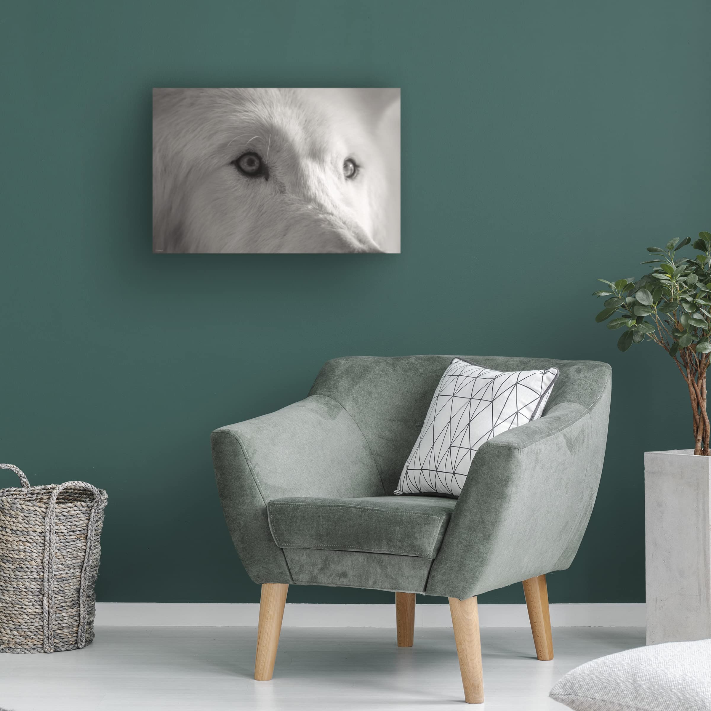 Gordon Semmens 'Wolves of Autumn 01' Canvas Art Print - 16x24 Inches - Trademark Fine Art Collection - Perfect for Living Room, Bedroom & Office Wall Decor