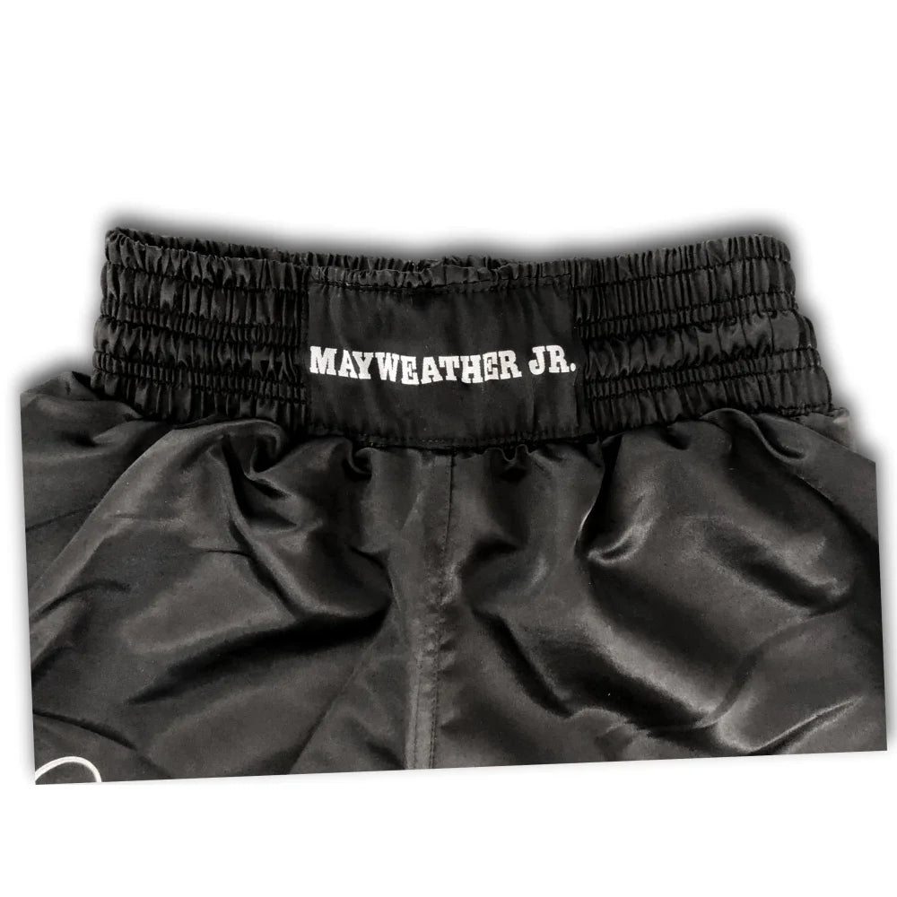 Floyd Mayweather Jr Signed Limited Edition Boxing Trunks #D/50 with JSA COA & Career Stats - Authentic Autographed Collectible for Boxing Fans & Memorabilia Display