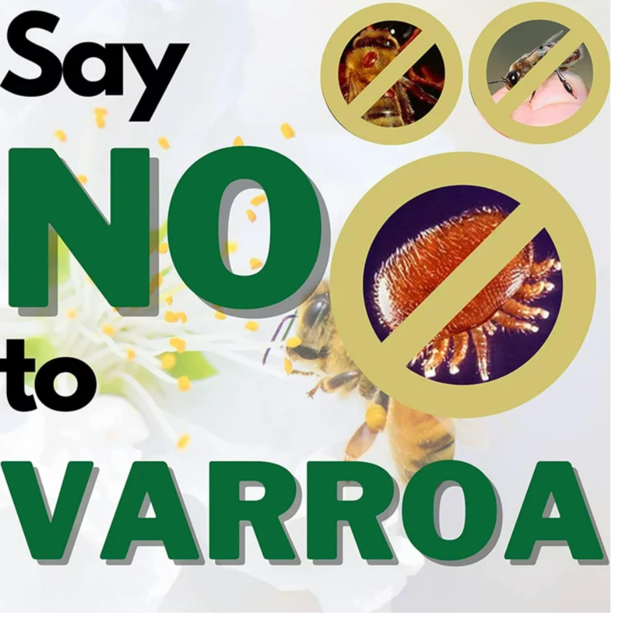 Apiguard ONE Box of 10x50g Varroa Mite Treatment Trays for Honey Bee Hives - 2 Trays per Hive Recommended - Natural Beehive Protection by Vita Bee Health - Perfect for Beekeepers & Apiary Maintenance
