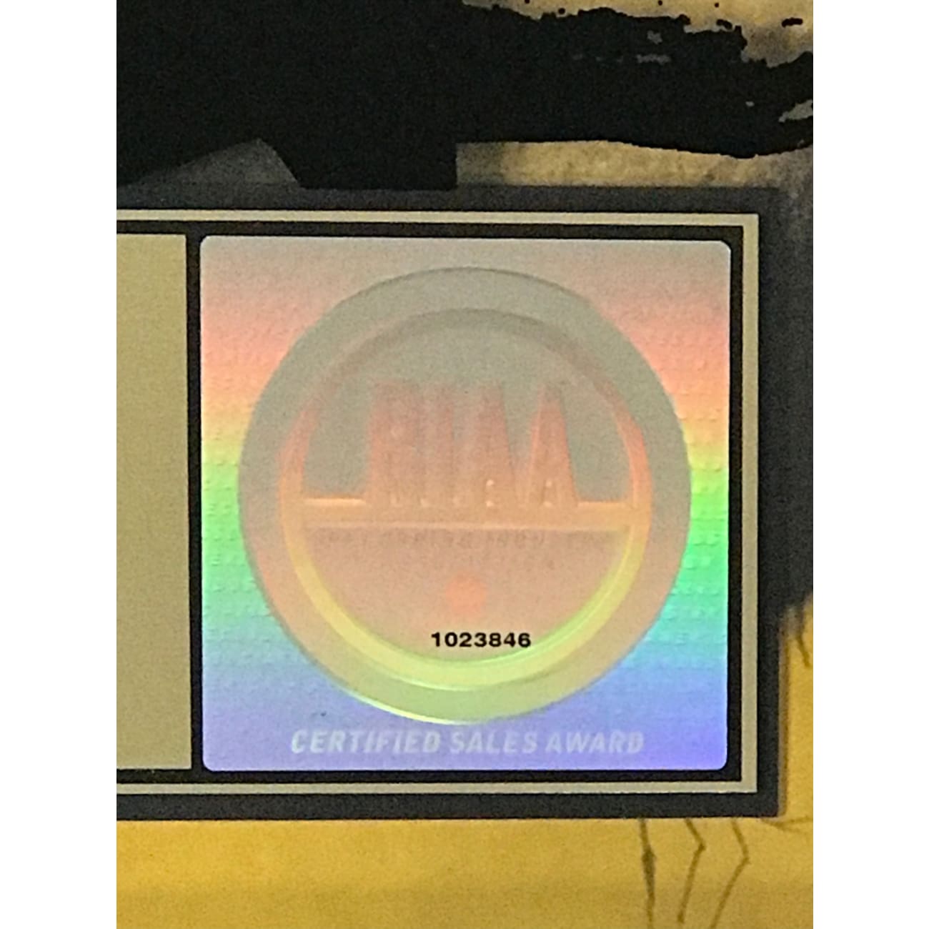 Days Of The New - Certified Gold Album Award by RIAA | Collectible Music Memorabilia for Fans & Display