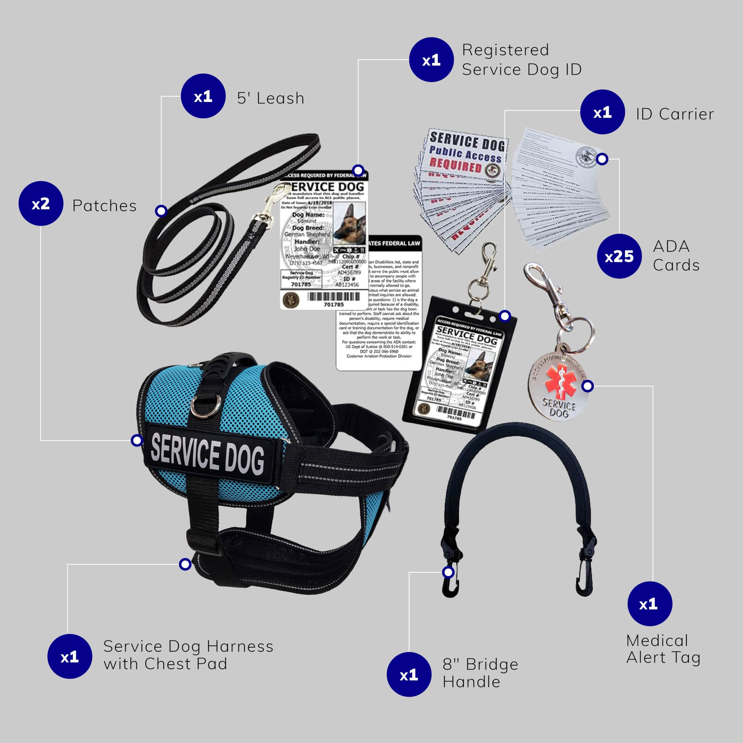 ActiveDogs Full Service Dog Kit - Large Aqua - Service Dog Vest Harness with Handle, ID Badge, ADA Compliance Cards, Medical Alert Keychain, Adjustable Leash & Custom Patches | Perfect for Therapy Dogs, Emotional Support Animals & Public Access Training