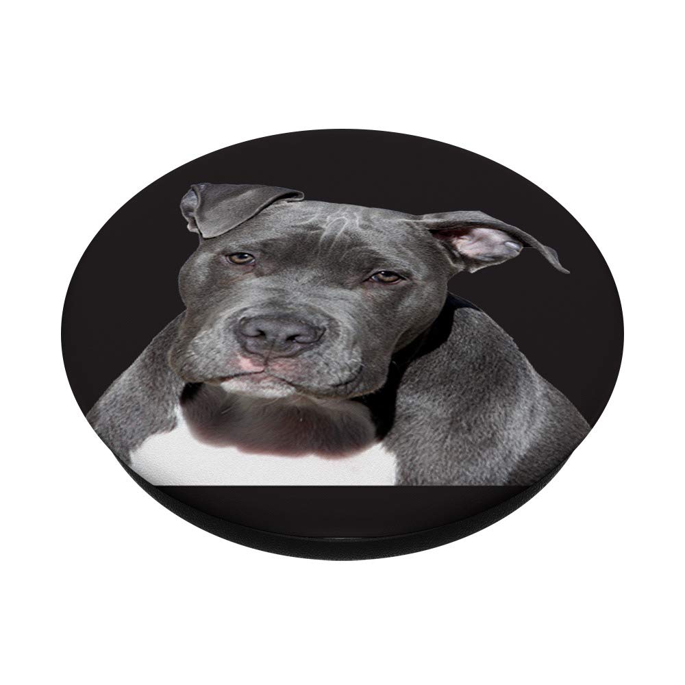 Pitbull PopSockets PopGrip: Interchangeable Phone & Tablet Grip with Swappable Top - Perfect for Selfies, Gaming, and Secure Phone Handling