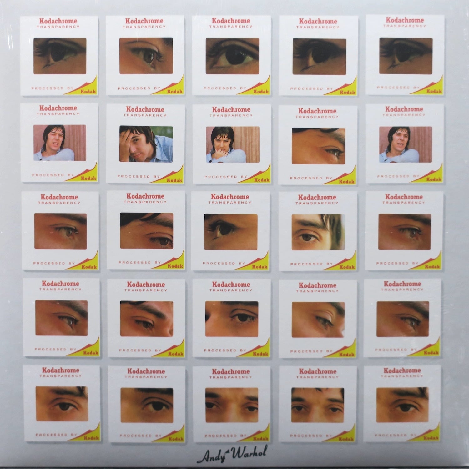 JOHN CALE 'The Academy In Peril' Vinyl LP Record - 1972 Art Rock Album - Perfect for Vinyl Collectors & Music Enthusiasts