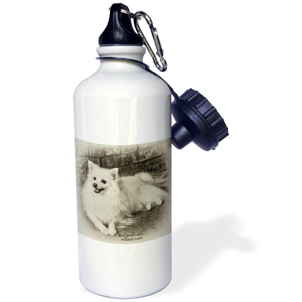 3Drose American Eskimo Dog Sports Water Bottle - 21 oz Insulated Stainless Steel Bottle for Gym, Hiking & Outdoor Activities - BPA Free, Leak Proof, White