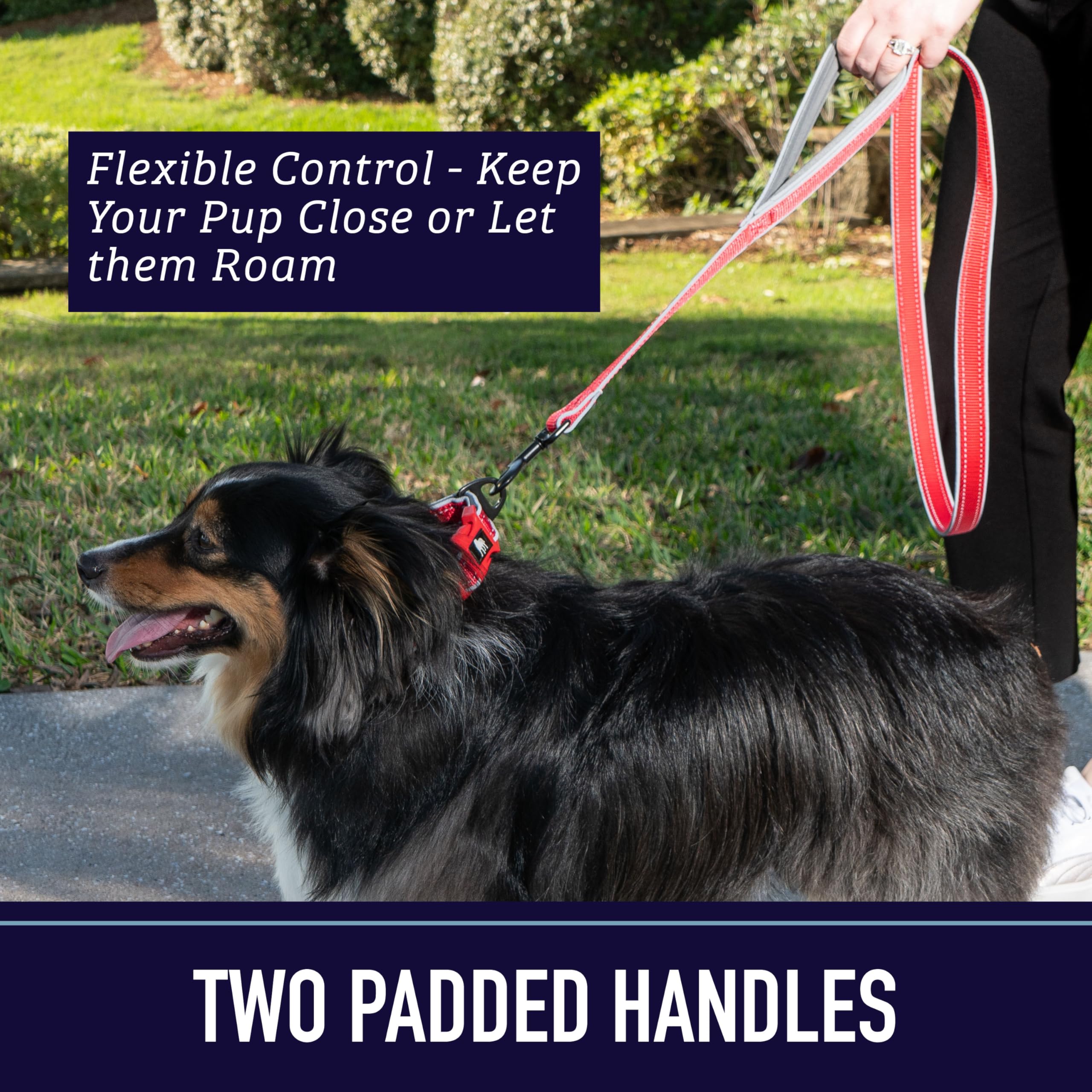 Leash Boss Double Handle Reflective Dog Leash - 6FT Strong Padded Leash for Large & Medium Pulling Dogs (Purple/Pink Space Pattern) - Perfect for Night Walks, Training & Active Dogs