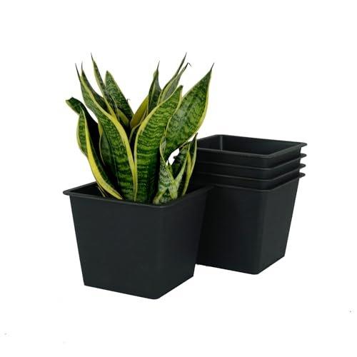 Catleza 5-Pack Plastic Plant Pots for Nursery & Garden with Drainage Holes - Ideal for Indoor Plants, Succulents, Herbs & Seedlings