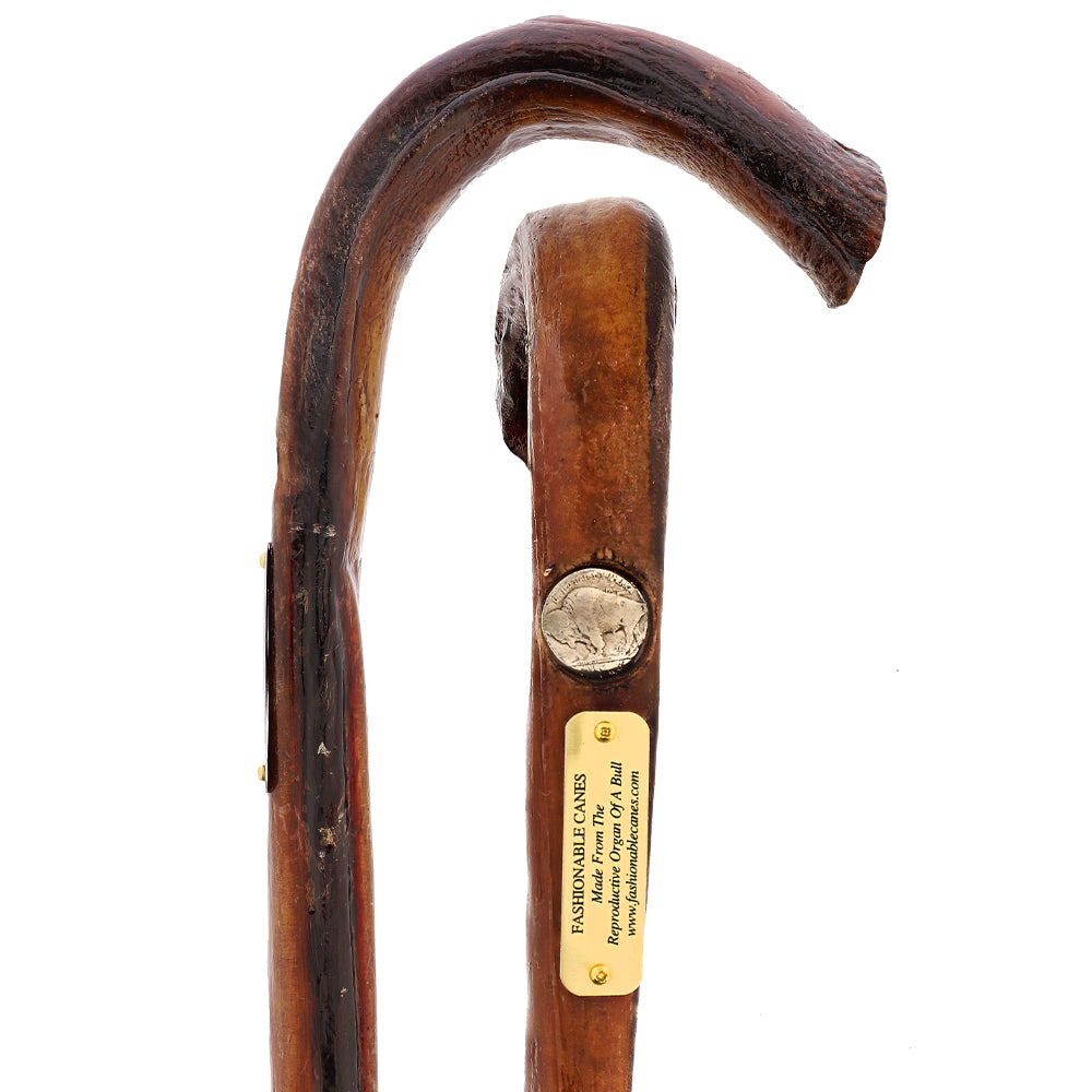 Premium Bull Organ Tourist Handle Walking Cane - Comfortable & Stylish Mobility Aid for Seniors, Hiking, Travel, and Everyday Support