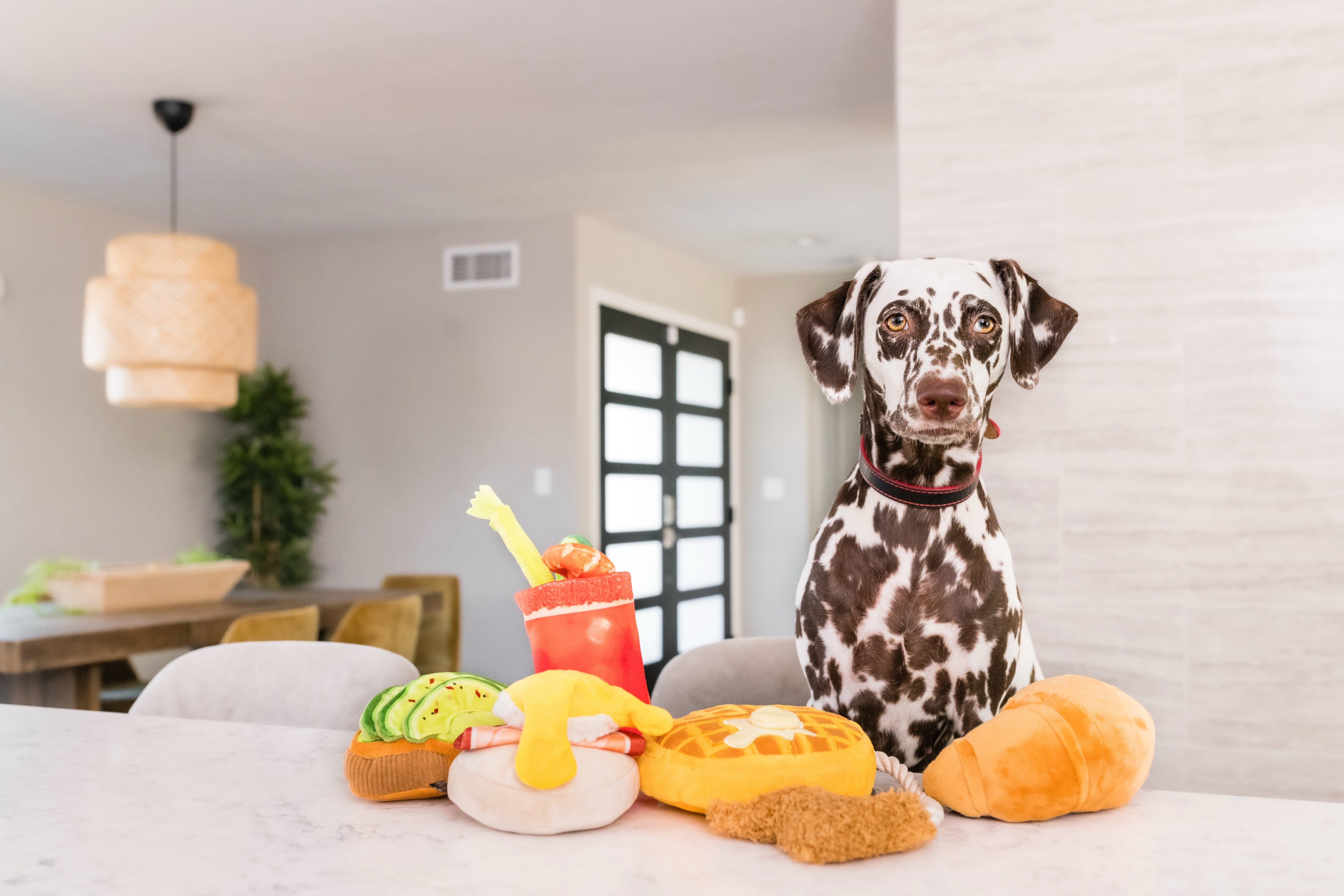 El Pollo y Waffle Plush Dog Toy - Barking Brunch™ Chew Toy for Dogs by Pet P.L.A.Y. | Soft & Durable Puppy Plaything for Fetch, Cuddling & Teething Relief