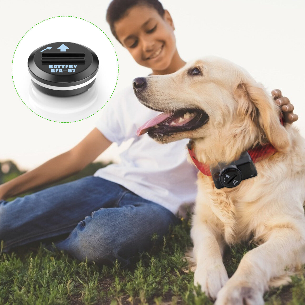 EBL RFA 67 6 Volt Replacement Batteries for Pet Collars - Long-Lasting Power for Dog Training, Hunting & Pet Safety Devices