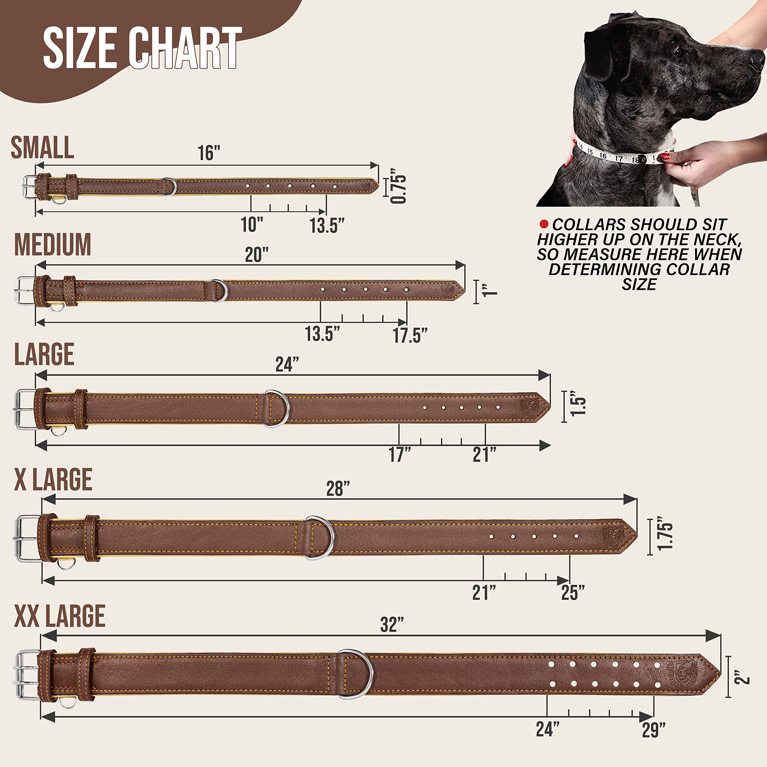 Premium Genuine Leather Dog Collar for Medium Dogs - Adjustable 13.5