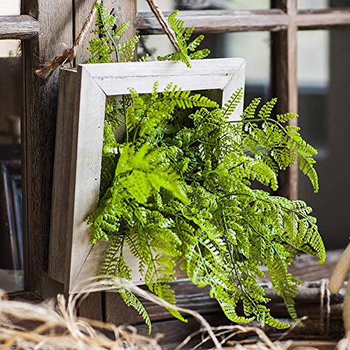 Rustic Green Oba Fern Plant Wall Art in Wood Frame - Perfect for Home Decor, Living Room, Bedroom & Office - Natural Botanical Decor for Indoor Spaces