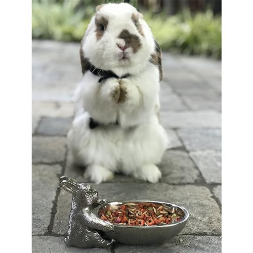 Premium Chinchilla Treat Sampler - Natural, Healthy Snacks for Small Pets - Perfect for Training, Bonding & Rewarding Your Furry Friend at Home or Travel