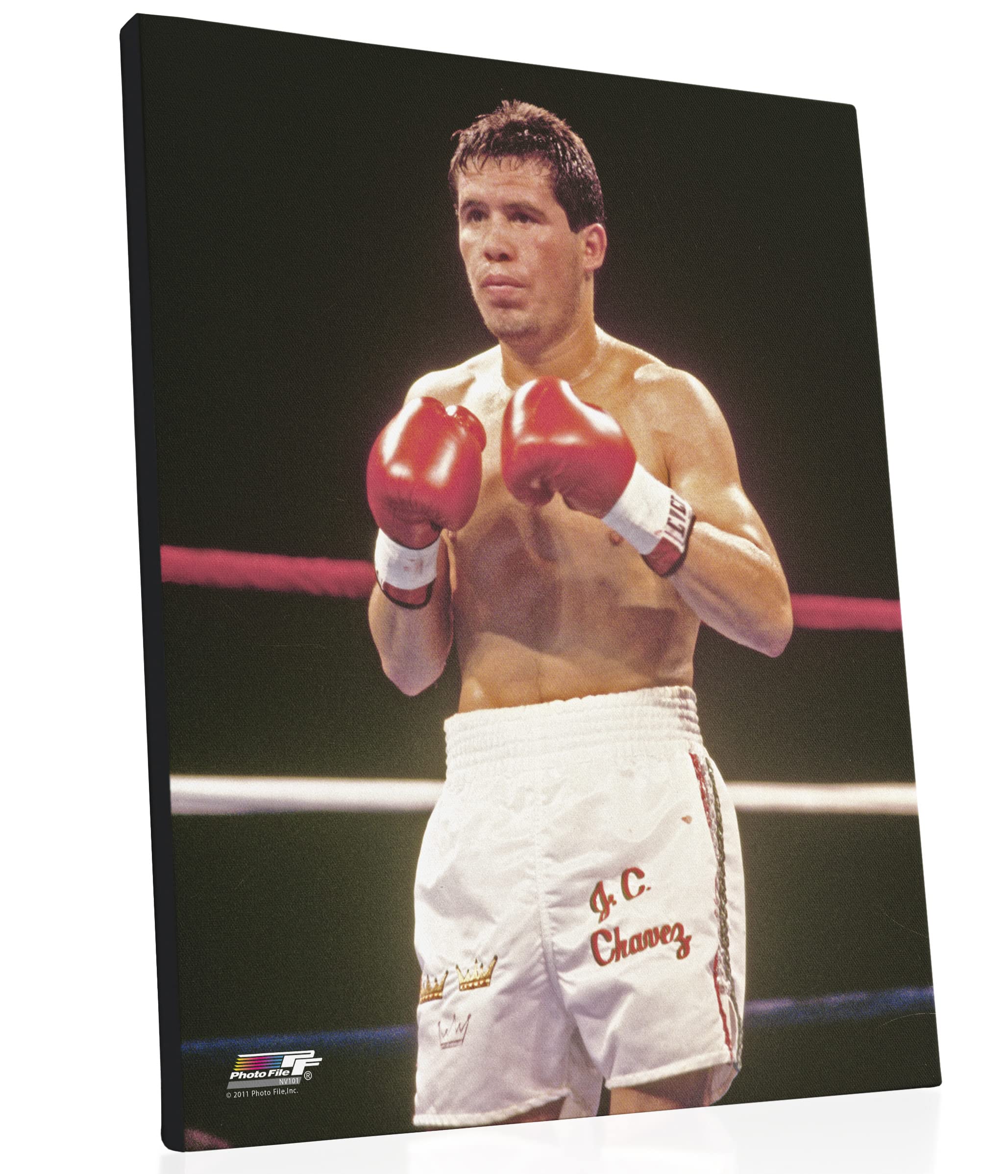 Julio Cesar Chavez Boxing Action Photo - 20x24 Inch Stretched Canvas Wall Art - Perfect for Sports Bars, Man Caves & Boxing Fan Home Decor
