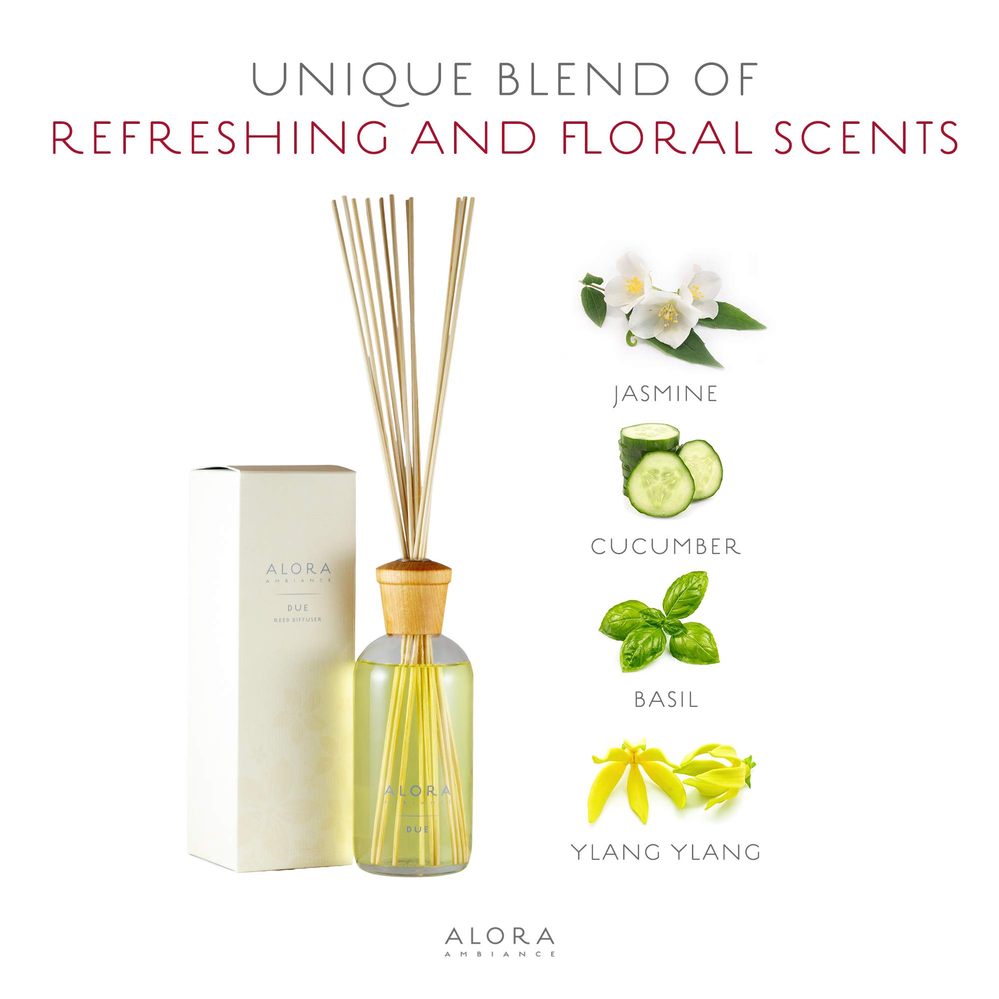 Alora Ambiance 16oz Reed Diffuser Set - Premium Home Fragrance Oil Diffuser for Living Room, Bedroom & Office - Long Lasting Aromatherapy Essential Oil Diffuser with Natural Rattan Reeds