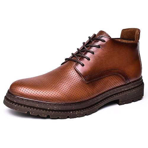 Brown-366