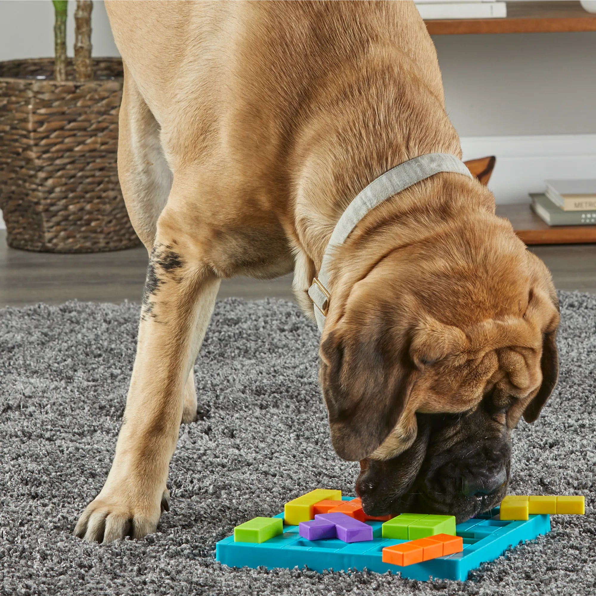 Brightkins Interactive Dog Puzzle Toy - Mental Stimulation Brain Teaser Treat Dispenser for Dogs - Perfect for Boredom Relief & Training