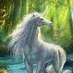 Fairy Unicorn