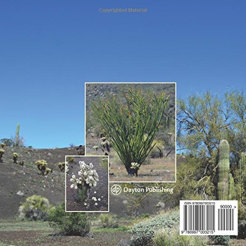 Rabbits, Rats, Birds, Seeds, Cactus and Trees: Plants and Animals in El Pinacate Sonoran Desert | Wildlife Exploration & Desert Ecosystem Study