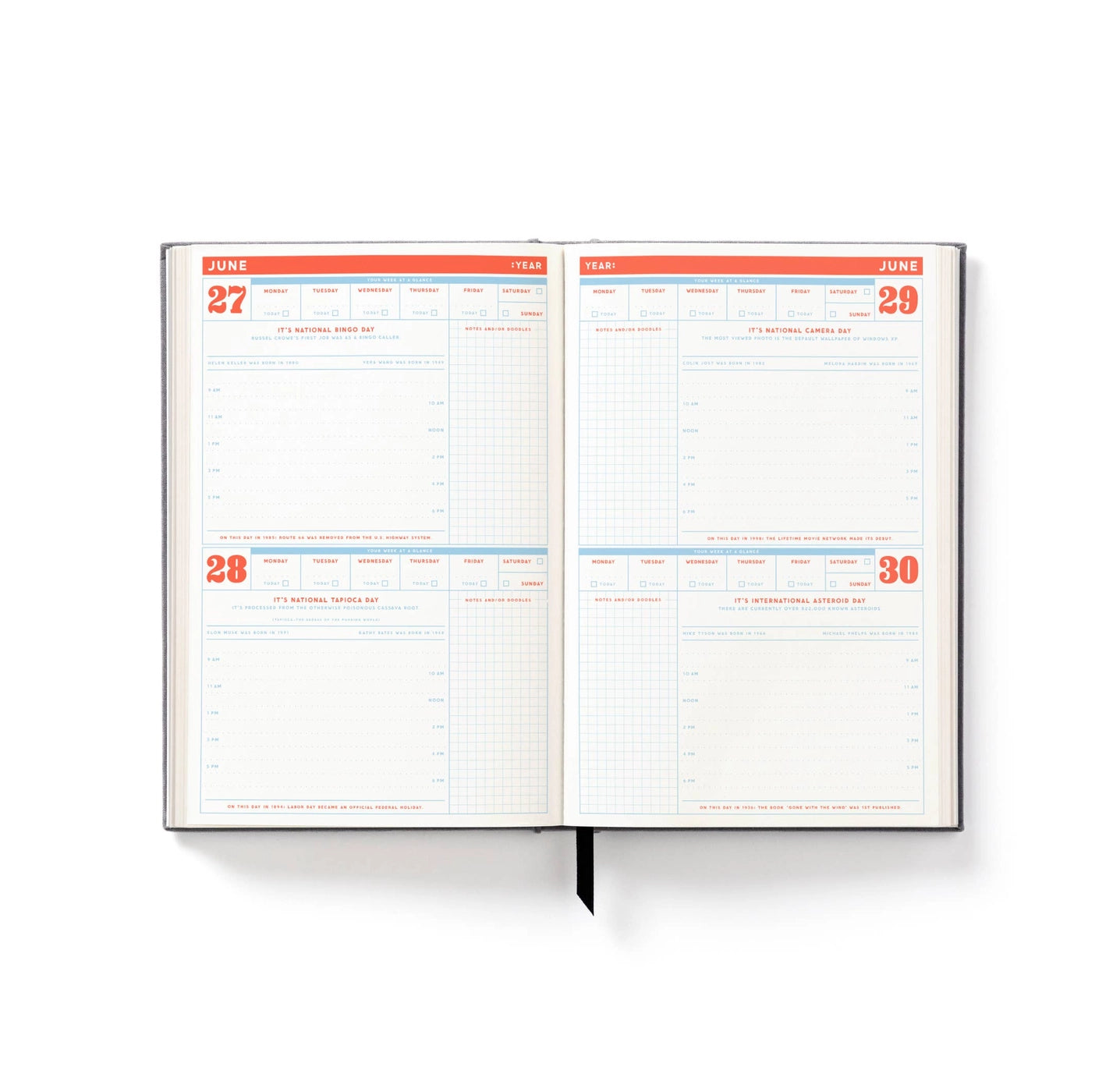Brass Monkey The Perpetually Late Show Undated Planner - Premium Standard Weekly/Monthly Organizer for Productivity, Time Management & Goal Tracking - Perfect for Students, Professionals & Busy Moms
