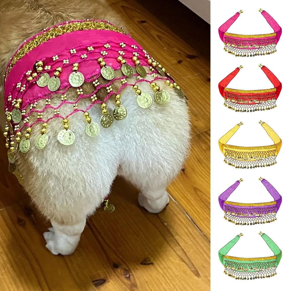 Corgi Dog Costume - Belly Dancer Skirt with Sequin Waist Chain & Butt Curtain, Passionate Puppy Hip Scarf for Shaking Dance, Perfect for Halloween, Parties, and Pet Performances