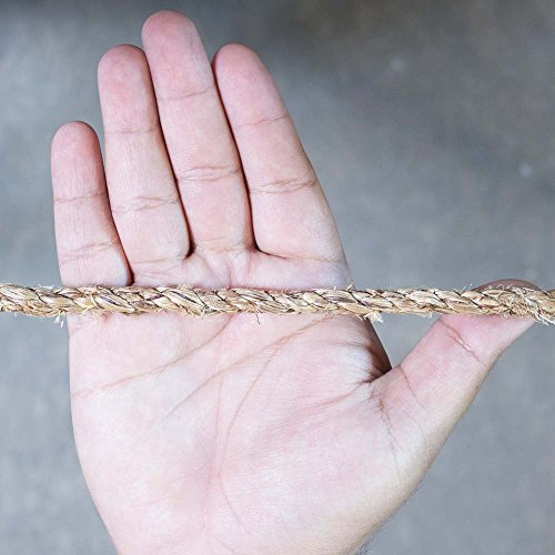 1/4 Inches