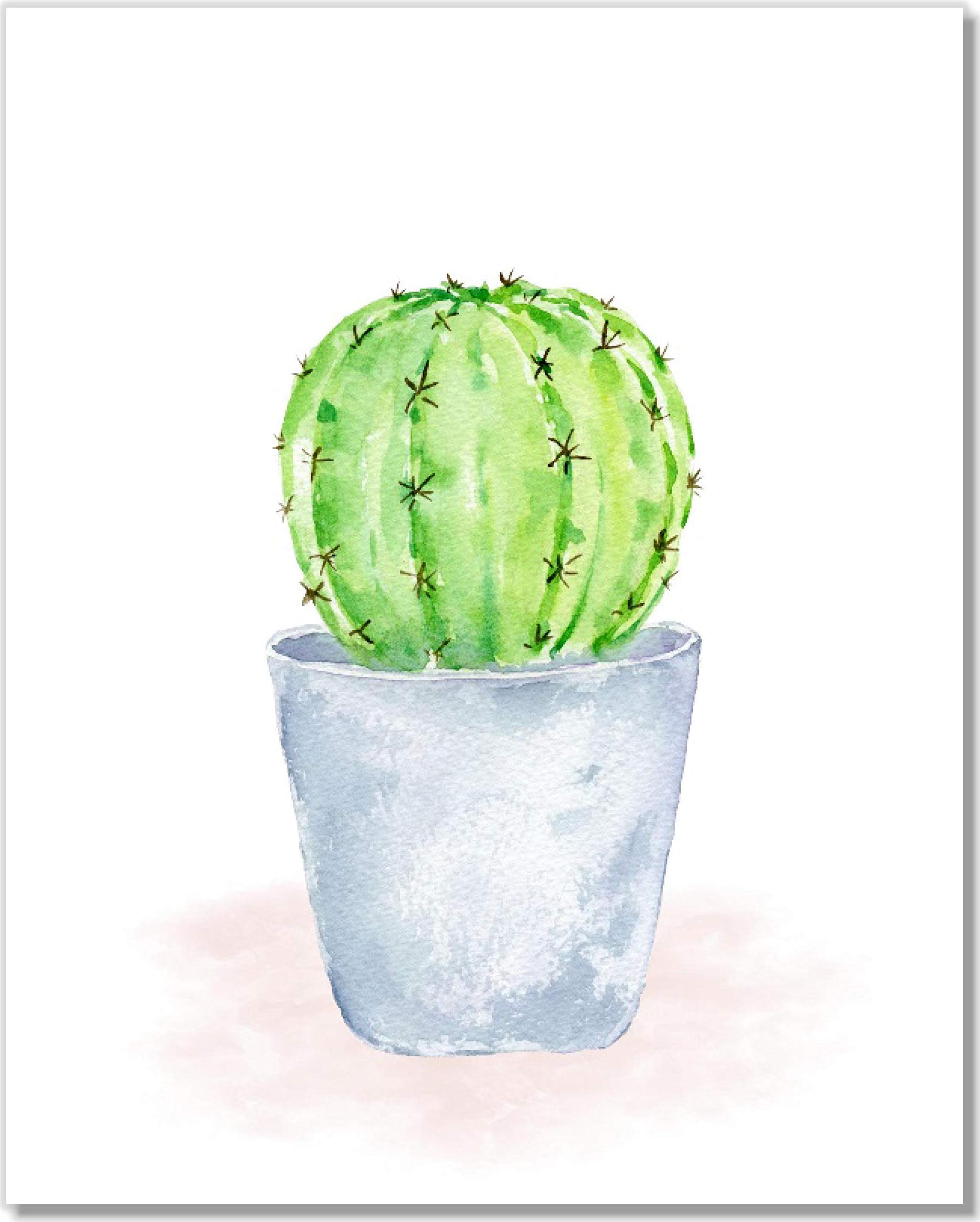 Boho Cactus Succulents Wall Art Prints - Set of 6 Unframed 8x10 Botanical Decor - Perfect for Home, Office & Nursery Wall Decoration
