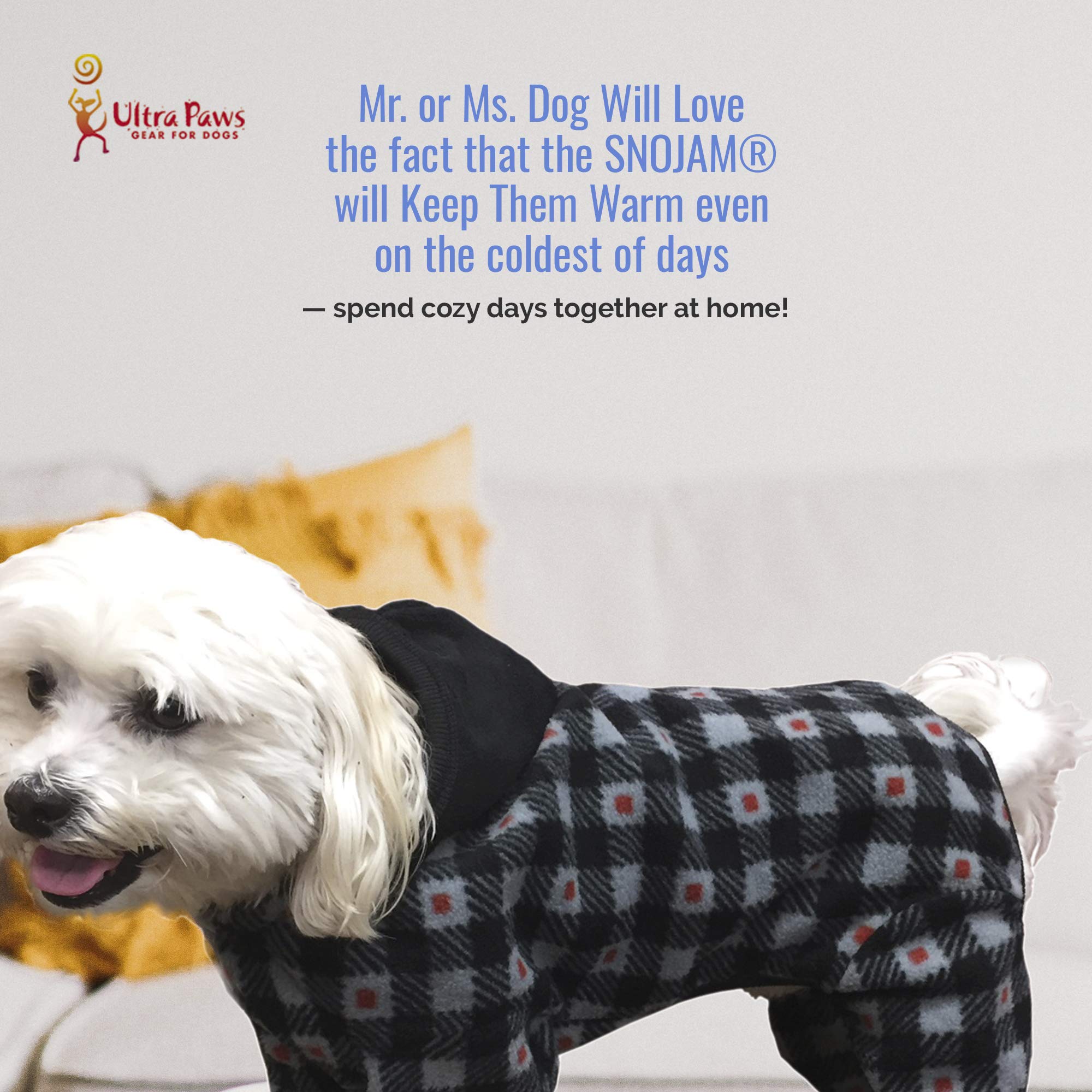 Waterproof Dog Jacket for Small Dogs - Gray/Red Pet Coat for Cold Weather - Perfect for Winter Walks & Outdoor Adventures