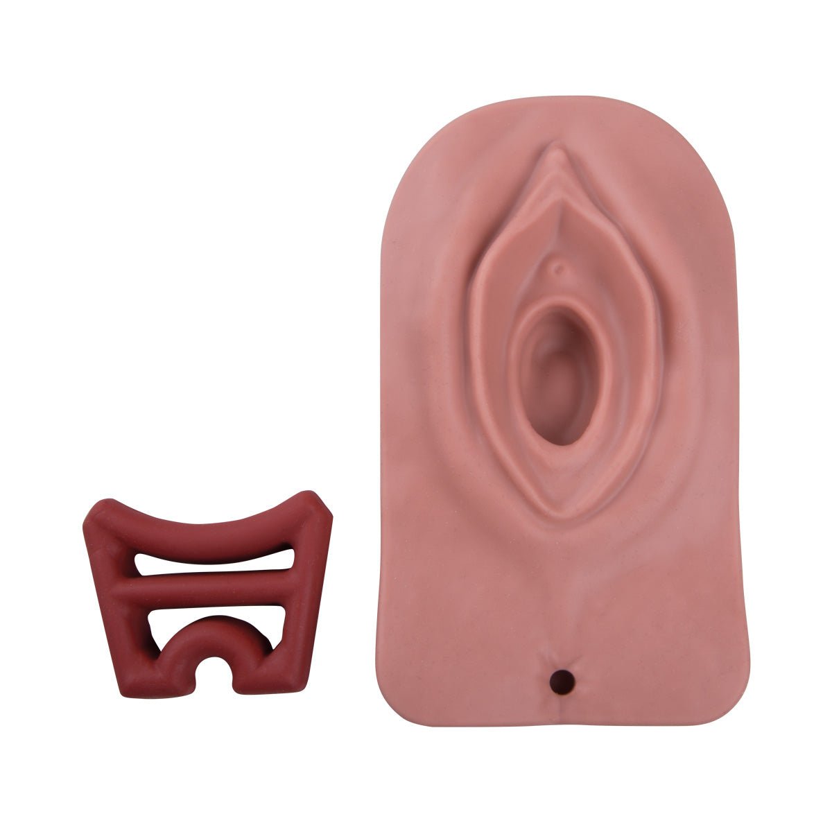 Episiotomy and Suturing Simulator with Realistic Lighting - Medical Training Model for OBGYN Students & Midwives - Perfect for Clinical Practice & Surgical Skills Development