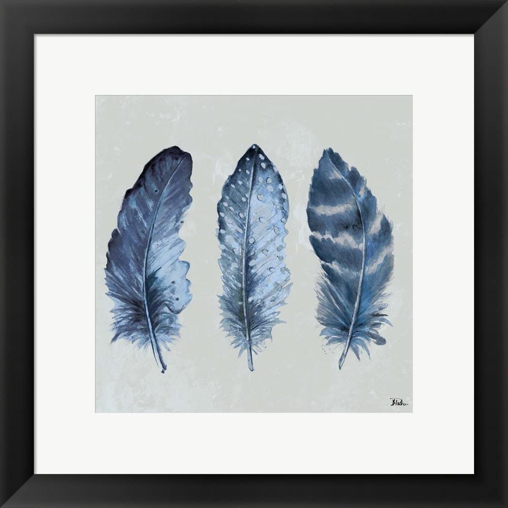 Indigo Feathers I by Patricia Pinto - Framed Art Print Wall Picture with Black Frame, 19x19 Inches - Perfect for Living Room, Bedroom & Office Decor