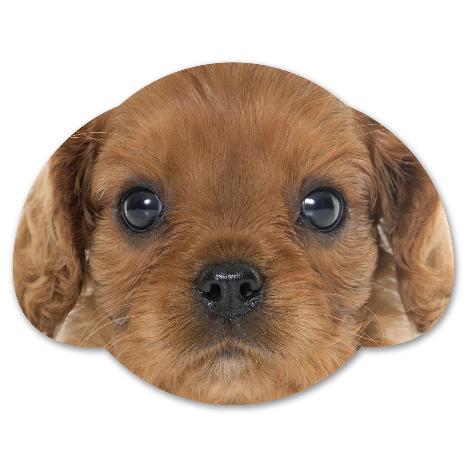Splosh Puppy Coaster Set - Non-Slip Absorbent Drink Coasters for Pets, Cute Dog-Themed Home Decor - Perfect for Coffee Tables, Bar Countertops, and Pet-Friendly Spaces