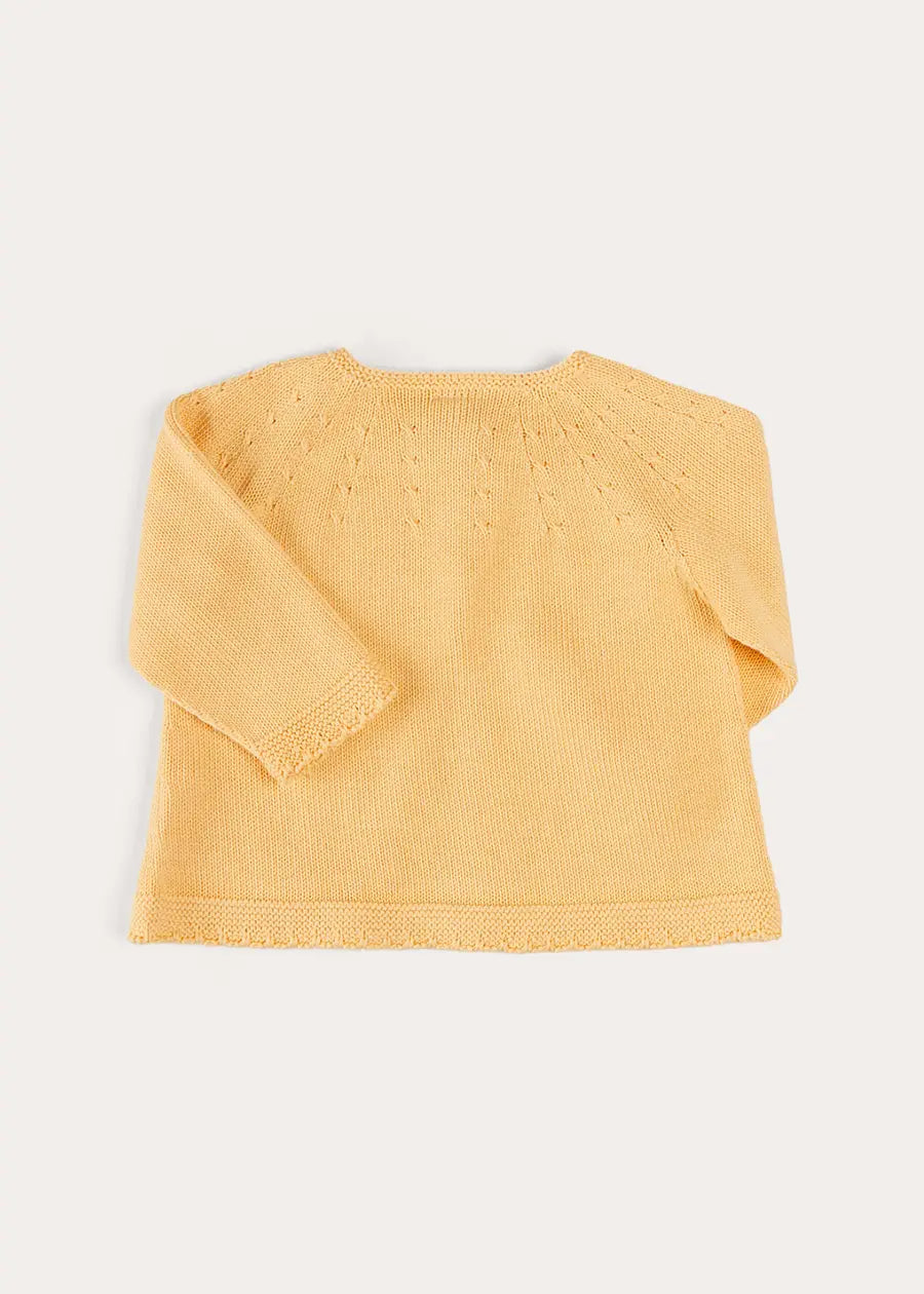 Openwork Detail Cotton Baby Cardigan in Tangerine (1-12 Months) - Soft & Breathable Knit Sweater for Newborns & Infants | Perfect for Photo Shoots, Family Outings & Special Occasions