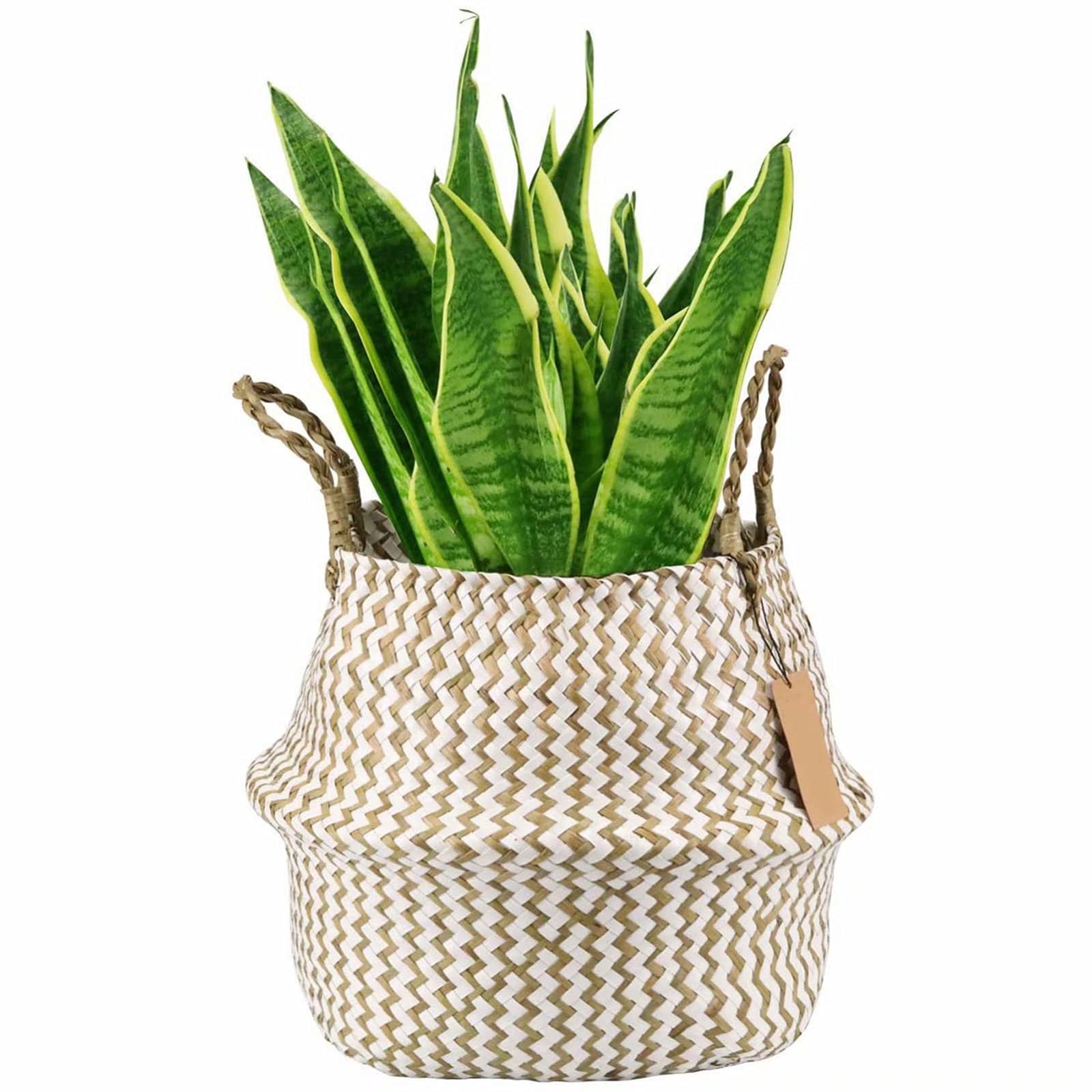 Handmade Natural Woven Seagrass Storage Basket - Large 10