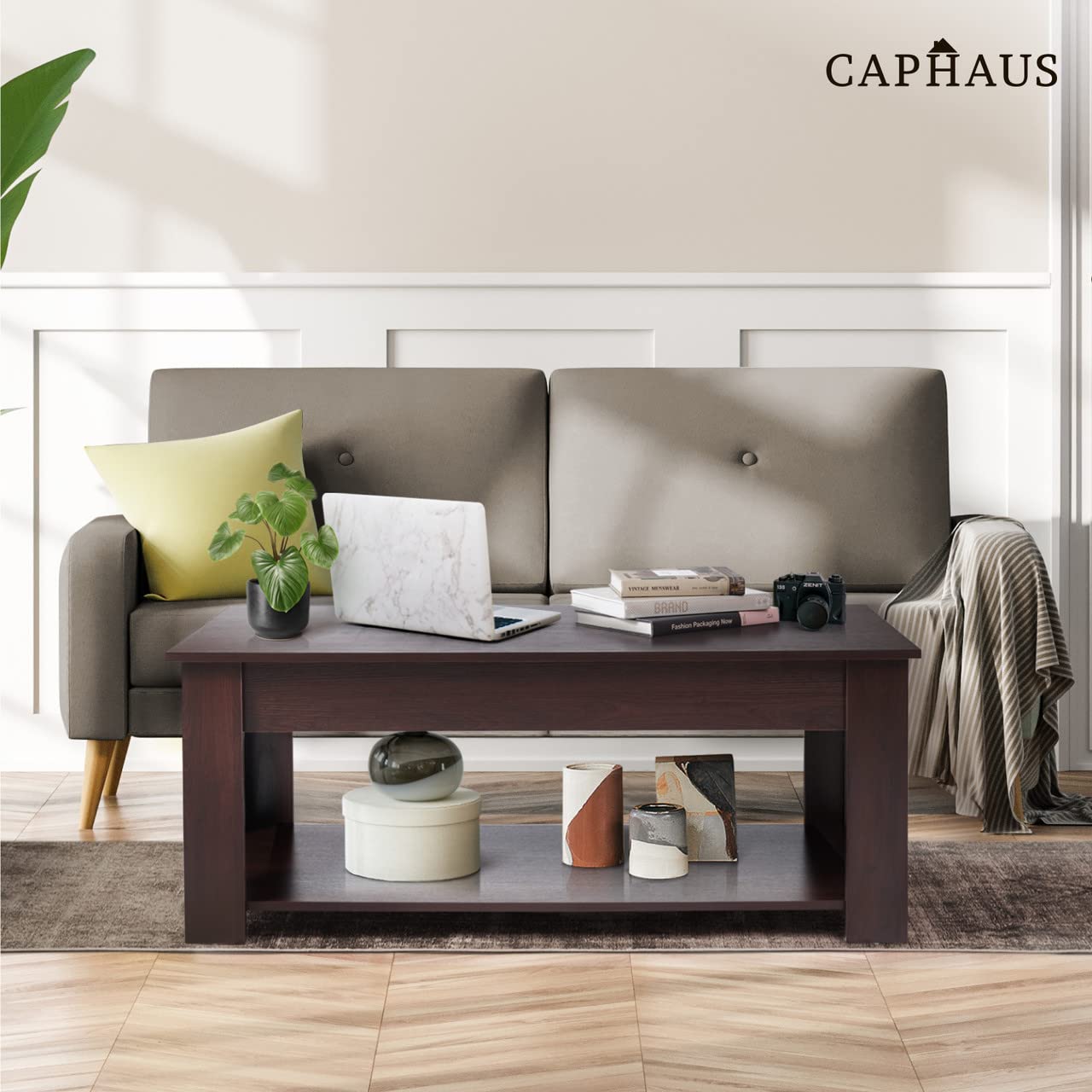CAPHAUS 41