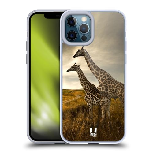 Giraffe Couple And Landscape