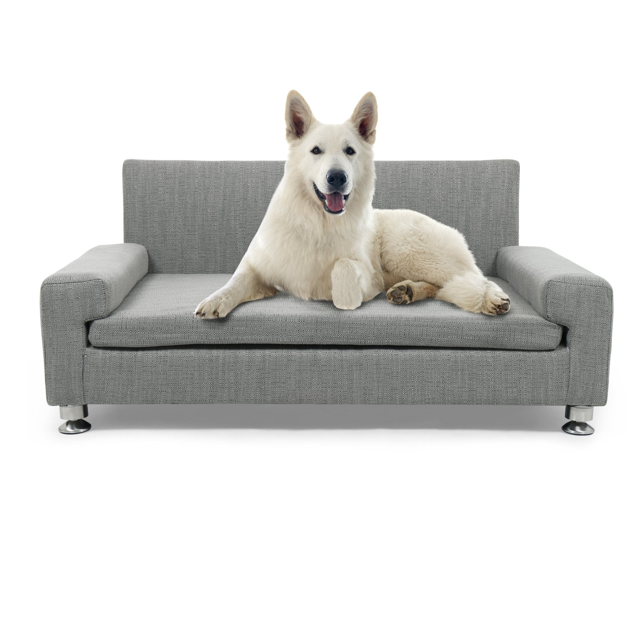 Club Nine Pets Orthopedic Dog Bed for Large Dogs - Memory Foam Support for Joint Pain Relief - Waterproof & Washable Cover - Perfect for Senior Dogs & Pets with Arthritis - Ideal for Living Room, Bedroom, or Crate